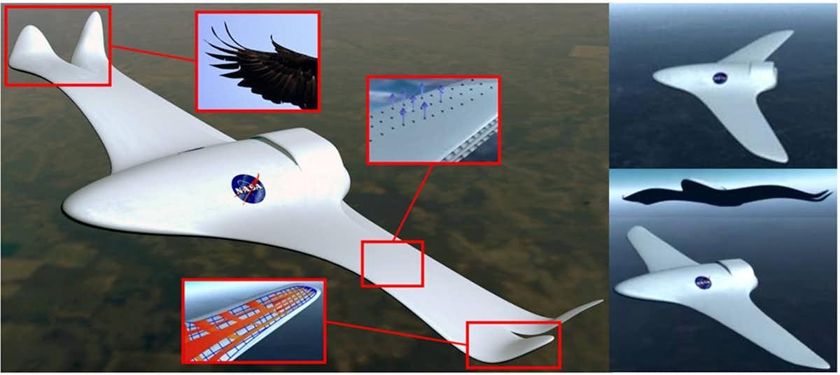 Bio-inspired aircraft concept, sporting adaptive and morphing skins and structures. NASA Dryden Flight Research Center